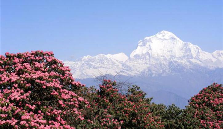 Dhaulagiri Trekking