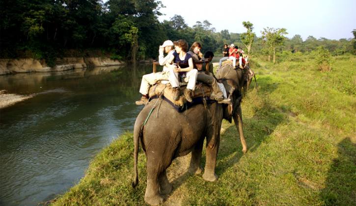 Jungle Safari in Nepal