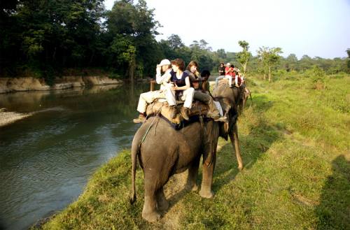 Jungle Safari in Nepal