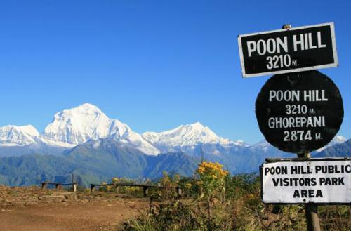 Ghorepani Poon hill Trek